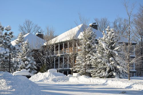 4 Season Fun At Legend Cottage Inn Bellaire ภายนอก รูปภาพ
